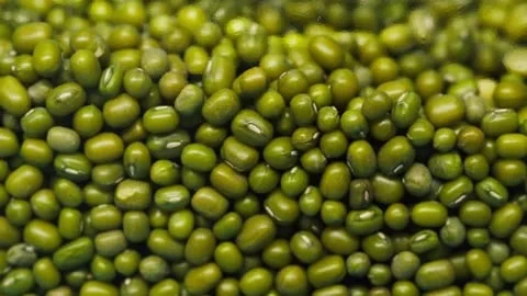 Frijol mungo verde