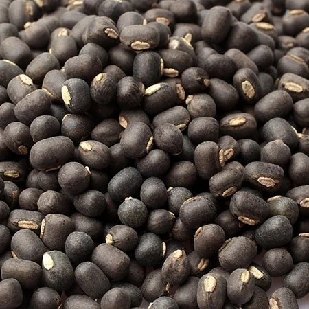 Mungo negro · Black matpe