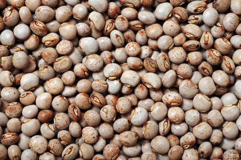 Guandú · Gandules